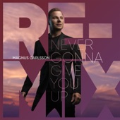 Never Gonna Give You Up (Remixes) - EP artwork