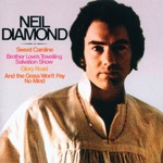 Sweet Caroline by Neil Diamond