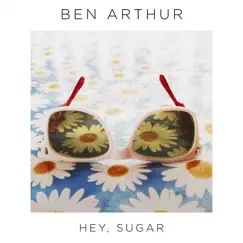 Hey, Sugar Song Lyrics