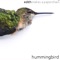 Hummingbird - Edith Makes A Paperchain lyrics