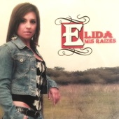 Elida Reyna - Elida's Medley (feat. Los Desperadoz)