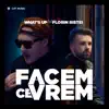 Facem ce vrem (feat. Florin Ristei) - Single album lyrics, reviews, download