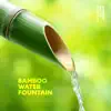 Bamboo Water Fountain: Relaxing Zen Piano album lyrics, reviews, download