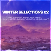 Winter Selections 02 - EP artwork