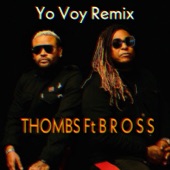 Yo Voy (Remix) [feat. B R O S S] artwork