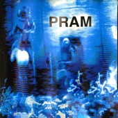 Pram - Chrysalis