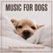 Lovely Sleep - Dog Music Dreams, Relaxmydog & Dog Music Therapy lyrics