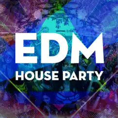 EDM House Party by Various Artists album reviews, ratings, credits