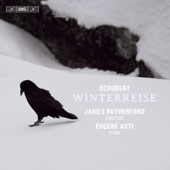 Schubert: Winterreise, Op. 89, D. 911 (Arr. for Baritone & Piano) artwork