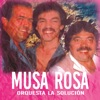 Musa Rosa - Single