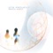 As The Days Grow Old (Album Mix) - DT8 Project lyrics