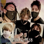 The Band 染色体 artwork