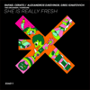 Rafael Cerato - She Is Really Fresh (Horisone Remix) artwork