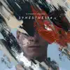 Without Words: Synesthesia album lyrics, reviews, download
