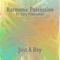 Just a Boy (feat. Cory Friesenhan) - Harmonic Possession lyrics