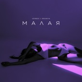 Малая artwork