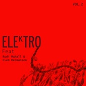 Elektro Vol 2: Rudi Mahall & Even Hermansen (feat. Mads La Cour, Tobias Winberg & Lars Winberg) artwork
