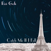 Catch Me If I Fall artwork