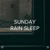 !!!" Sunday Rain Sleep "!!! album lyrics, reviews, download