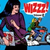 Wizzz French Psychorama : 1966-1970, Vol. 2