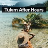 Tulum After Hours - EP