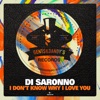 I Don't Know Why I Love You - Single