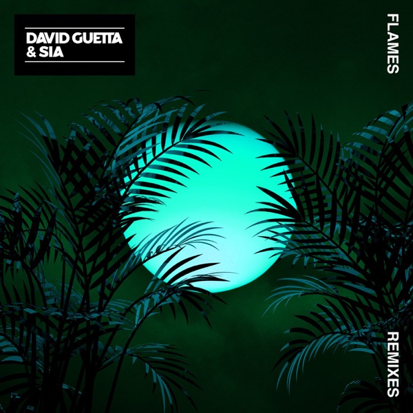 Flames (Remixes 2) - EP - David Guetta & Sia