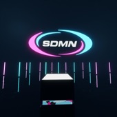SDMN Two Tone 2.0 artwork