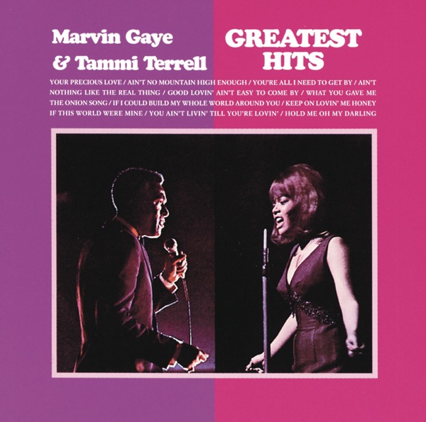 Marvin Gaye & Tammi Terell - Ain't No Mountain High Enough