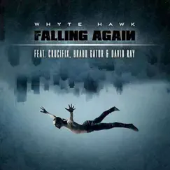 Falling Again (feat. CRUCIFIX, Brabo Gator & I4NI) Song Lyrics