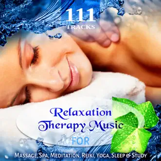 111 Tracks: Over Five Hours Relaxation Therapy Music for Massage, Spa, Meditation, Reiki, Yoga, Sleep and Study, Zen New Age & Healing Nature Sounds by Various Artists album reviews, ratings, credits