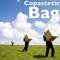 Bag - Copastetic lyrics