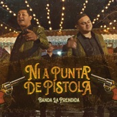 Ni A Punta De Pistola artwork