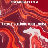 Calmly Sleeping White Noise artwork