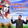 Achyutam Keshavam Krishna Damodaram - Single album lyrics, reviews, download