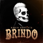 Brindo artwork