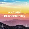 Mountain Whitenoise - Single album lyrics, reviews, download