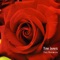 My Rose of Joy - Tim Janis lyrics