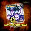 Agarrando Peda Con La Banda (feat. Banda Titanes Sinaloenses) album lyrics, reviews, download