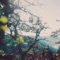 Pheels . - ewonee & Chill Children lyrics