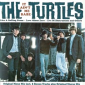 The Turtles - It Ain't Me Babe (Mono)