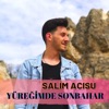 Salim Acisu - Yüreğimde Sonbahar