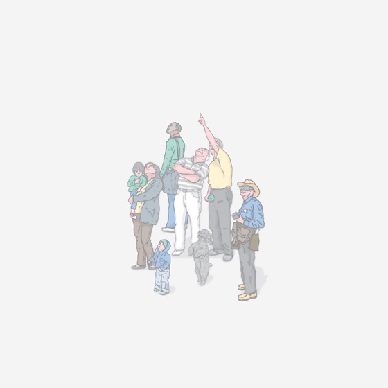 Cover artwork for Pesadilla