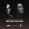 Stream & download Weather the Storm