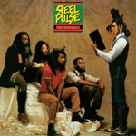 Your House by Steel Pulse