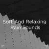 !!!" Soft and Relaxing Rain Sounds "!!! album lyrics, reviews, download