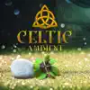 Celtic Ambient: Amazing Harp Sounds album lyrics, reviews, download