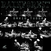 David Tudor: Rainforest (Versions 1 & 4) artwork