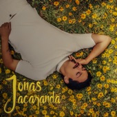 Jacarandá artwork