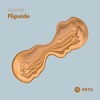 Flipside - Single, 2021